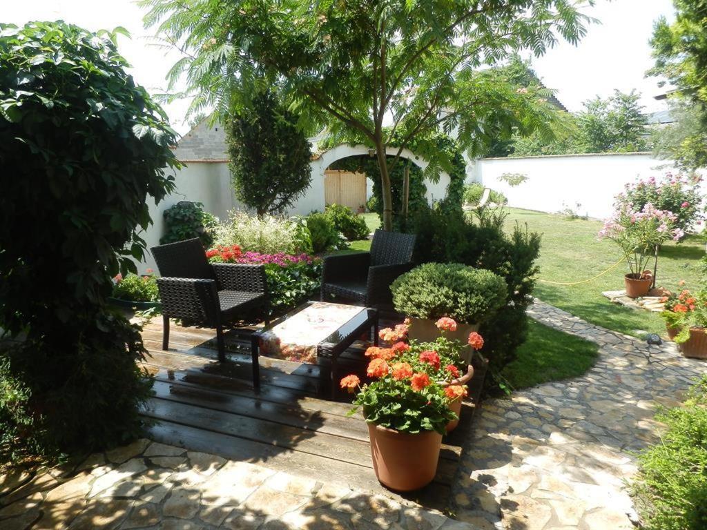 Gaestezimmer Klinger-Tongisch Apetlon Extérieur photo