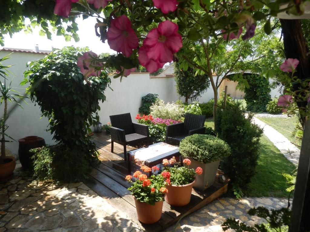 Gaestezimmer Klinger-Tongisch Apetlon Extérieur photo