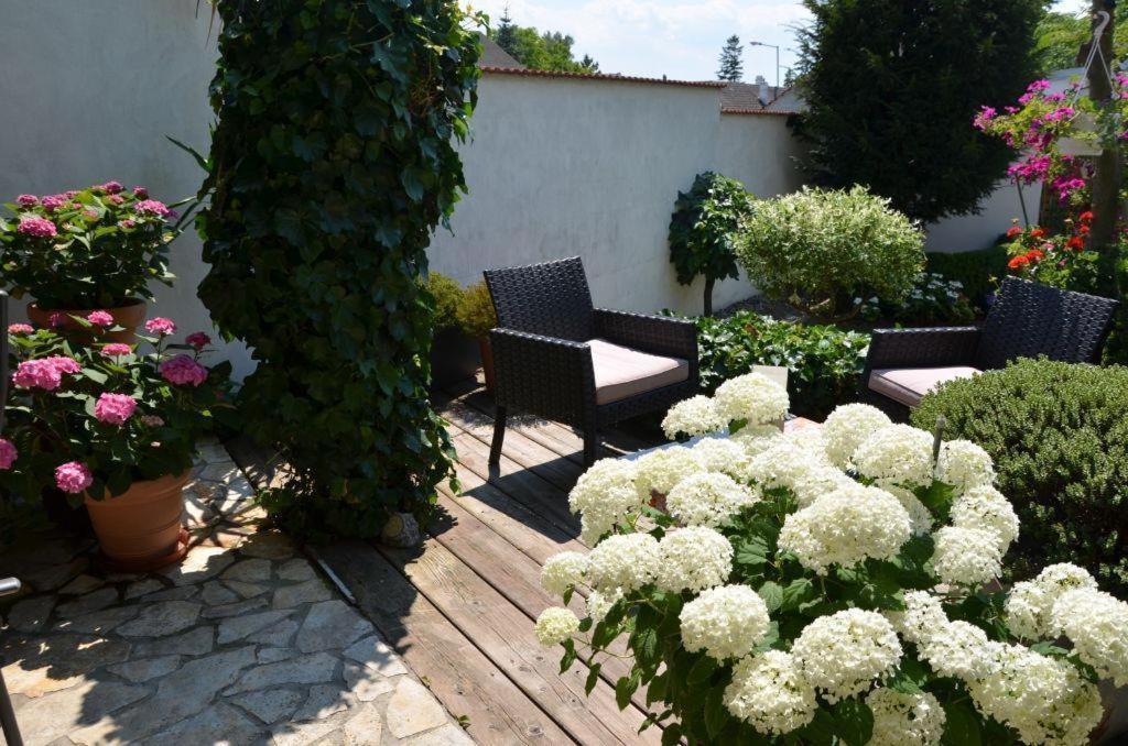 Gaestezimmer Klinger-Tongisch Apetlon Extérieur photo
