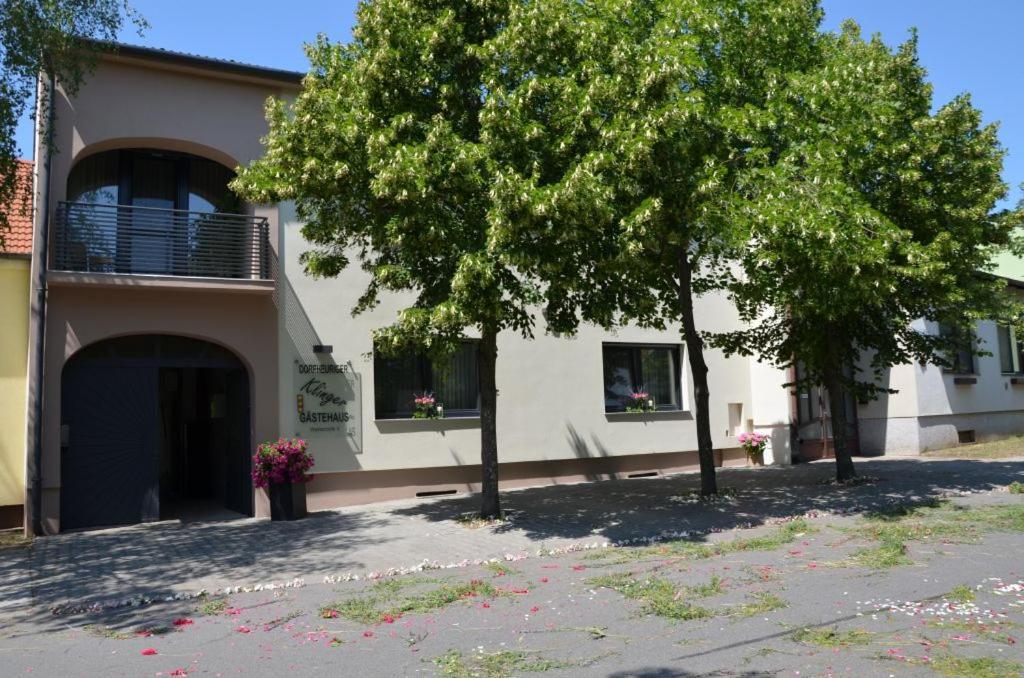 Gaestezimmer Klinger-Tongisch Apetlon Extérieur photo