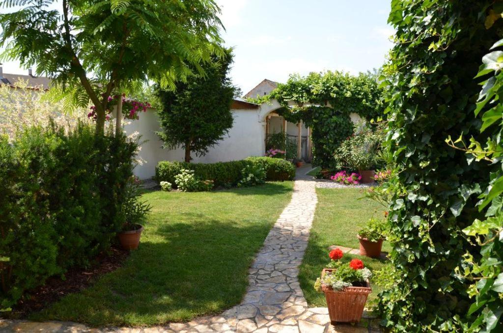 Gaestezimmer Klinger-Tongisch Apetlon Extérieur photo